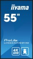IIYAMA Monitor 55 cali LH5554UHS-B1AG 24/7, IPS, ANDROID.11, 4K, SDM, 2x10W