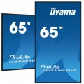 IIYAMA Monitor wielkoformatowy 64.5 cala LH6554UHS-B1AG 24/7,IPS,ANDROID.11,4K,SDM,2x10W