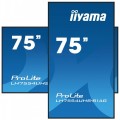 IIYAMA Monitor wielkoformatowy 75 cala LH7554UHS-B1AG 24/7,IPS,ANDROID.11,4K,SDM,2x10W