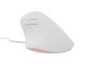 Natec Mysz wertykalna CRAKE 2 PRO 128000DPI optyczna biała