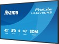 IIYAMA Monitor 43 cale LH4375UHS-B2AG,24/7,IPS,ANDROID.11,4K, WiFi,          iiSignage2, FailOver, EShare, 24/7, full daisy chain