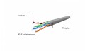 Gembird Patchcord kat.6 UTP 1.5m kolor zielony