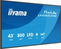 IIYAMA Monitor  profesjonalny 43 cale LH4366UHSB-B1AG 4K, VA, A14, 800cd, 4000:1, 6,5ms,2xHDMI, USB-C, RJ45, 2xUSB, 2x10W, WiFi, iiSignage2, RAM: 4GB,